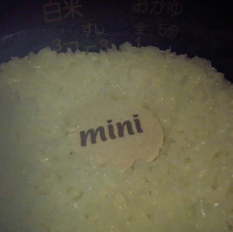 040928 銀シャリくん