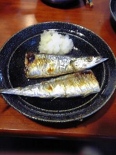 041017 さんまくん