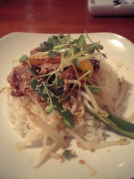 041018 ダーチャのしょうが焼き