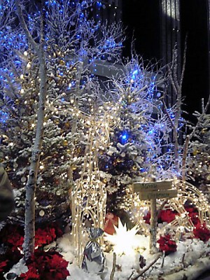 041226 品川ツリー