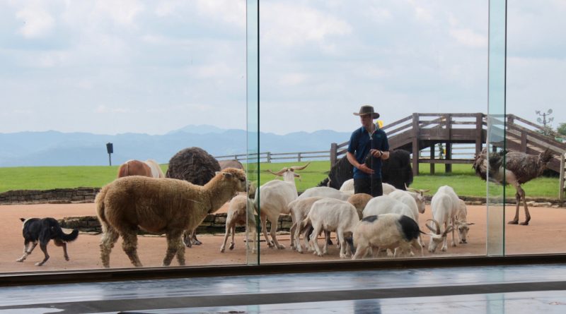 マザー牧場アグロドームイベント